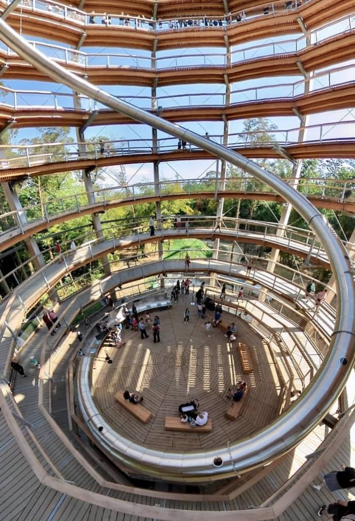 Beyond the trees at Avondale (1)