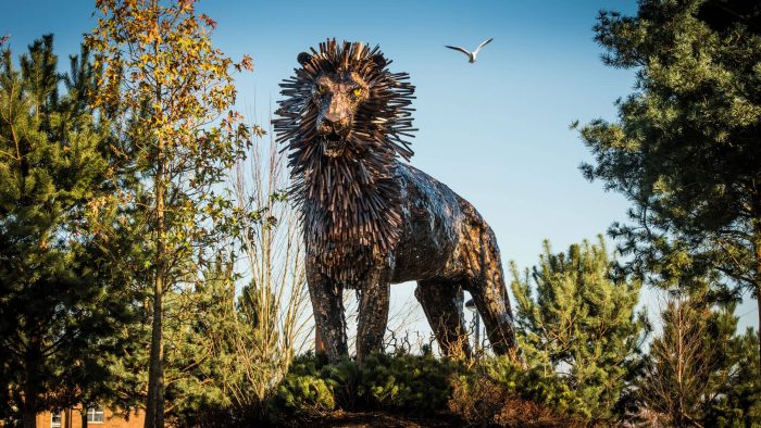 Vist CS Lewis Square in Belfast with kids