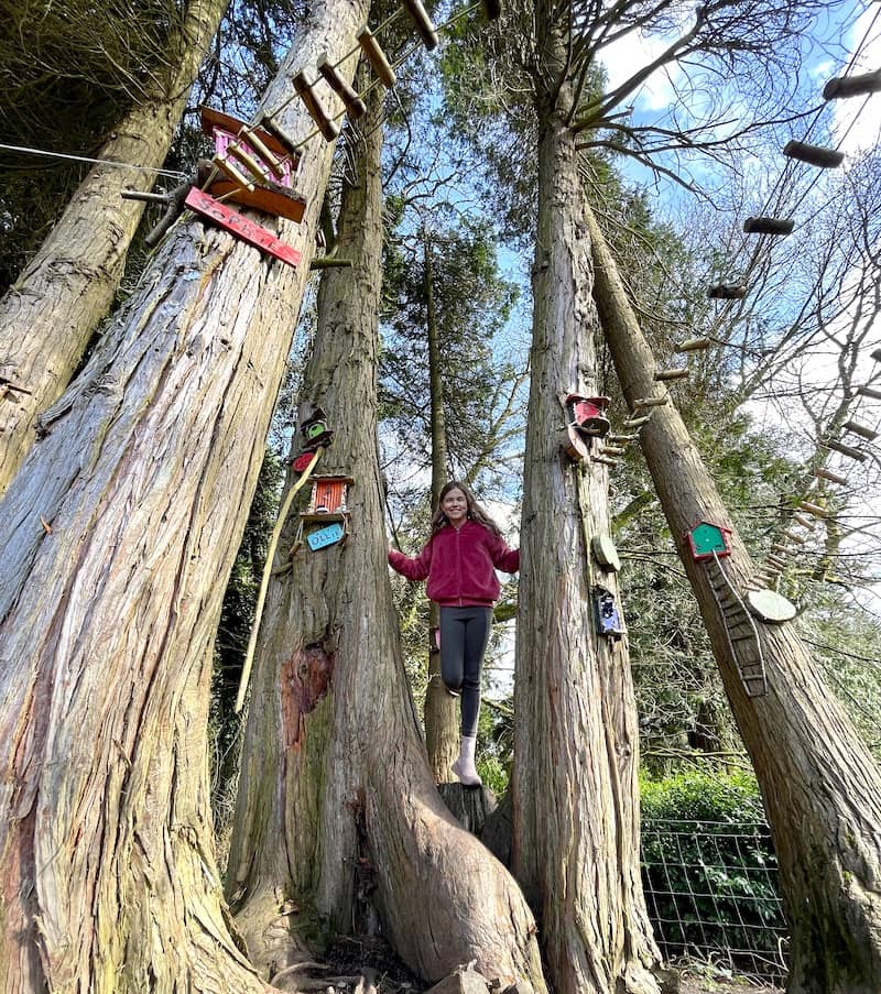 fairy trail at Russborough House