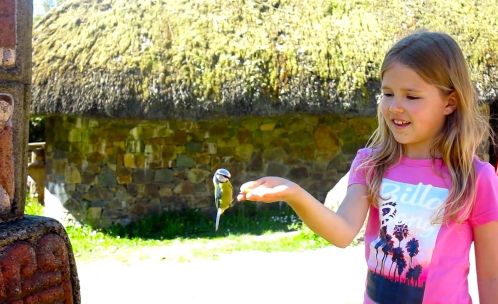 top things to do in Wexford with kids - visit National Heritage Park